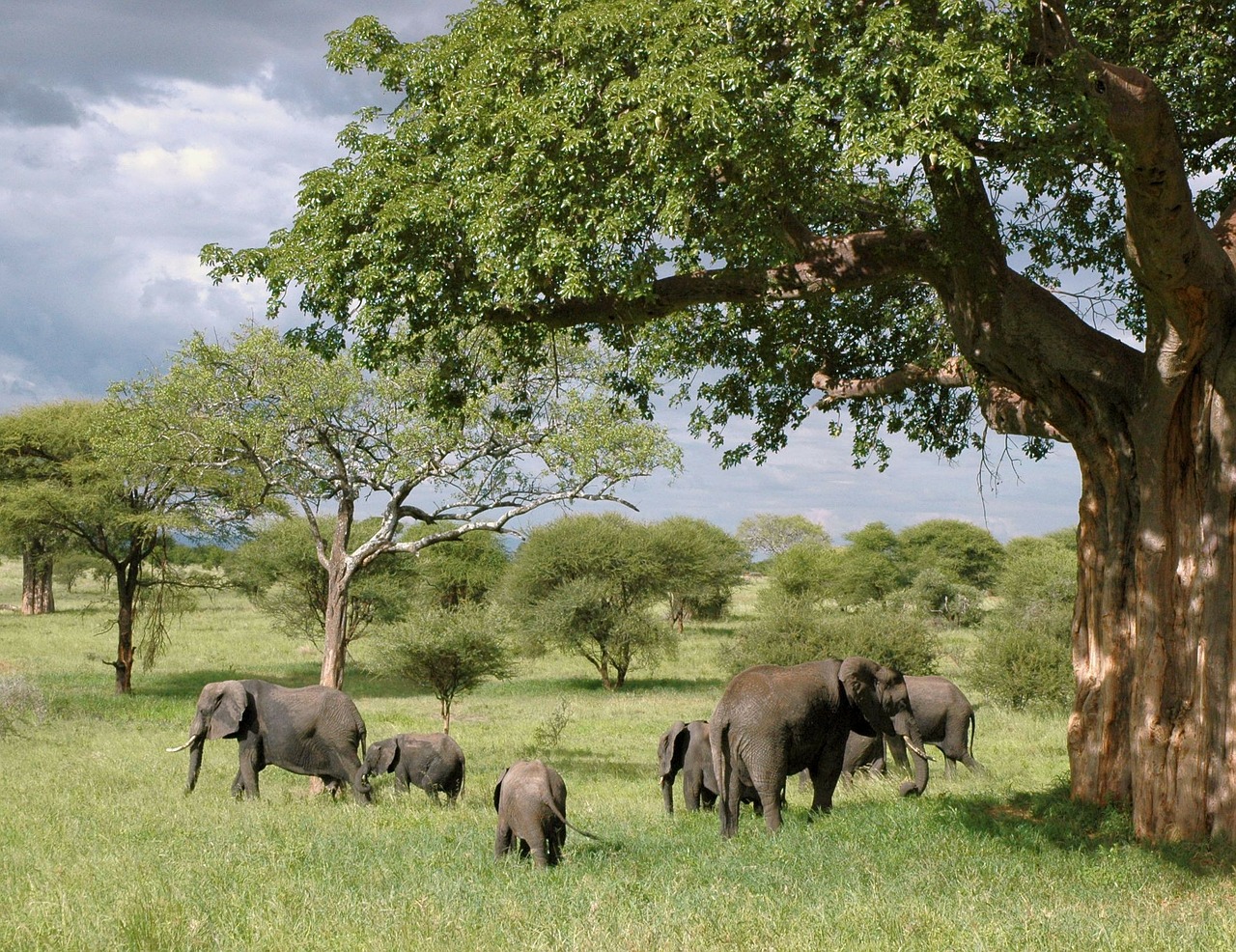 The Top 3 Tourist Attractions in Tanzania