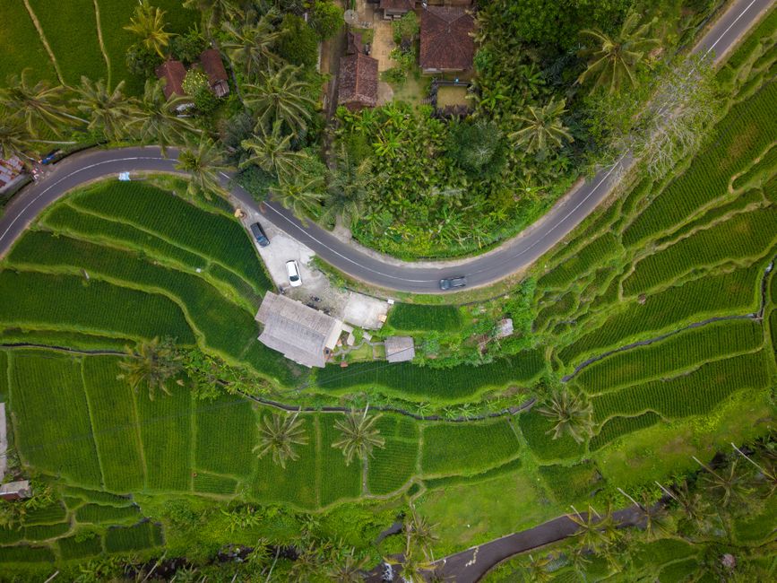 Bali 7-Day Itinerary 2026: 5 Traps That Cost Time