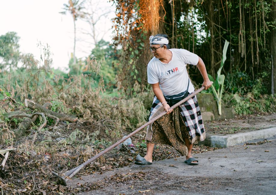 A Balinese man rakes leaves outdoors while wearing traditional attire, embodying cultural practices.