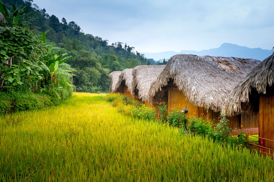 Small houses in settlement near grassy mountains and trees with palms in daylight under blue sky