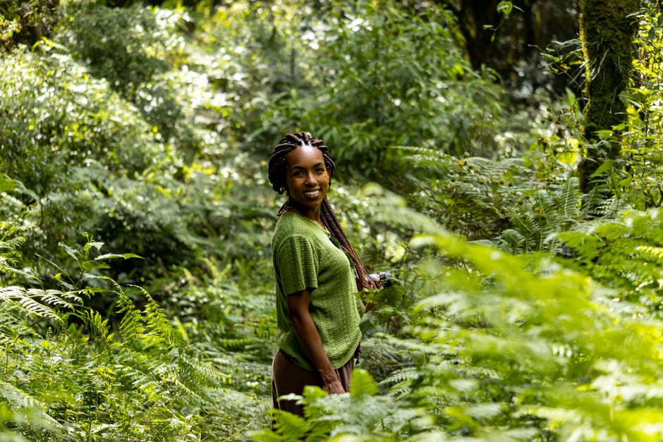 Best Eco-Friendly Boutique Hotels in Costa Rica: 2026 Costs
