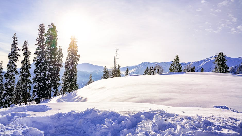 Breathtaking view of snow-covered mountains and sunlit coniferous trees in winter.