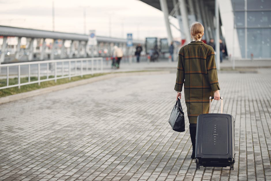 Back view full length of female executive in trendy outfit with luggage walking along sidewalk into airport building before departure