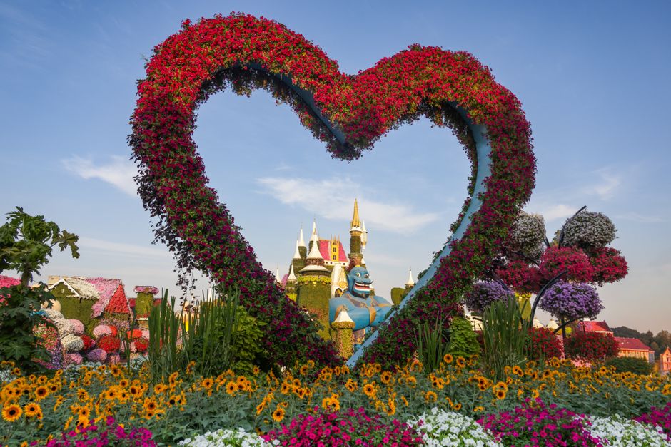 Disney World With Toddler: Disney World With a Toddler: The 5 Things I Wish I Knew Before Going