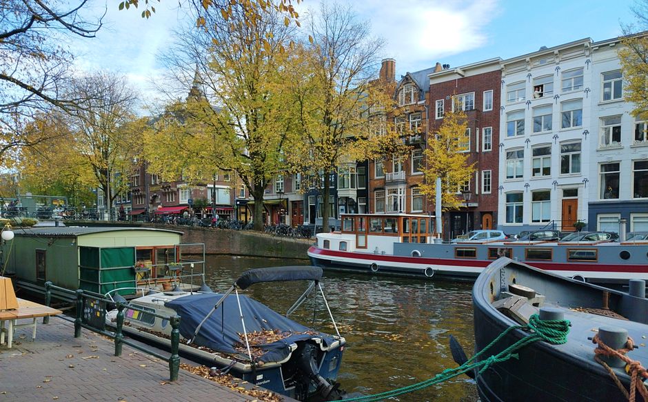 Eco-Friendly Hotels Amsterdam Under 0: 7 Eco-Friendly Hotels in Amsterdam Under 0 That Actually Deliver