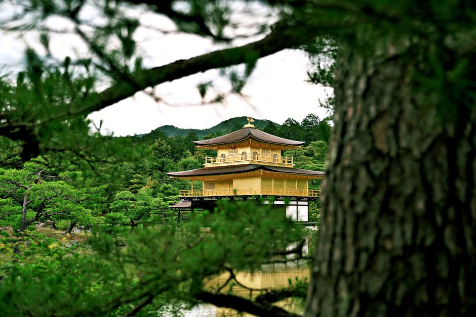 Kyoto 4-Day Itinerary: Kyoto 4-Day Culture Itinerary: Temples, Tea, and Timing