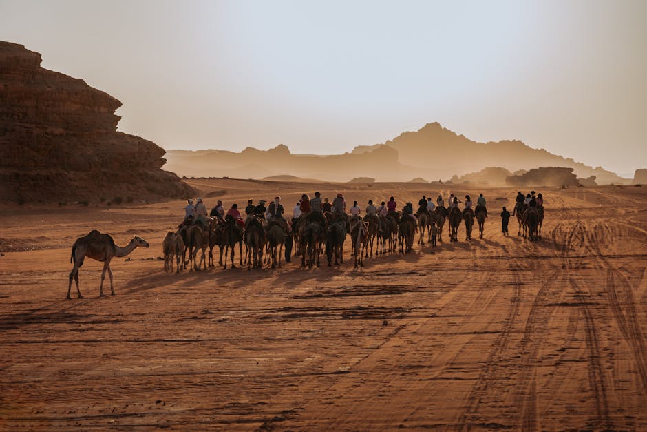 A captivating view of a camel caravan traversing the Wadi Rum desert at sunset.