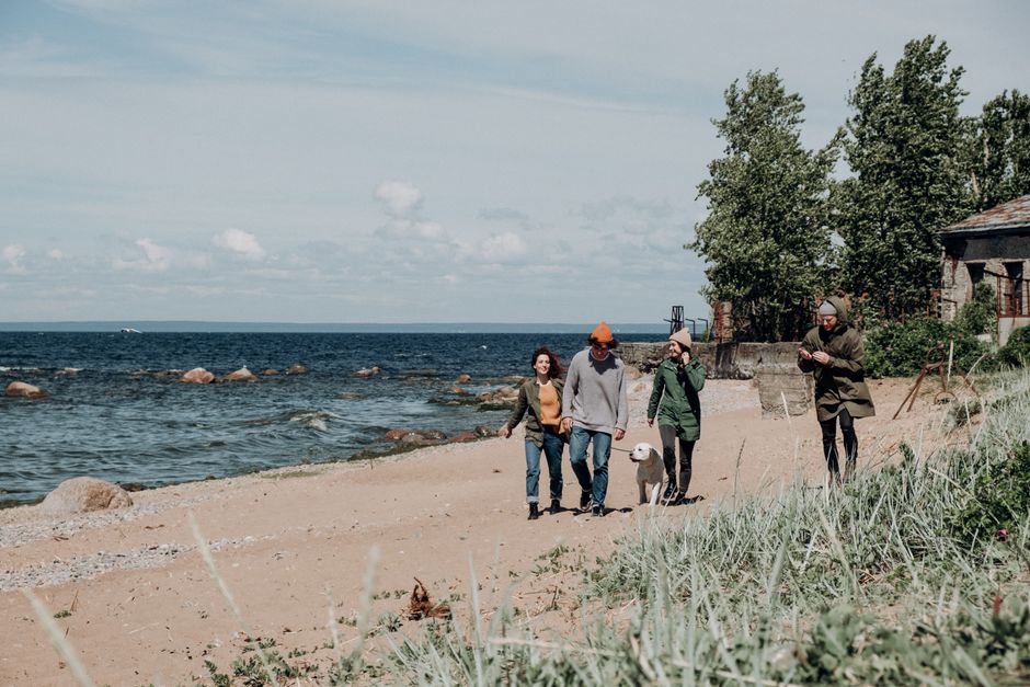 Four adults walking on a beach with a dog during the day.