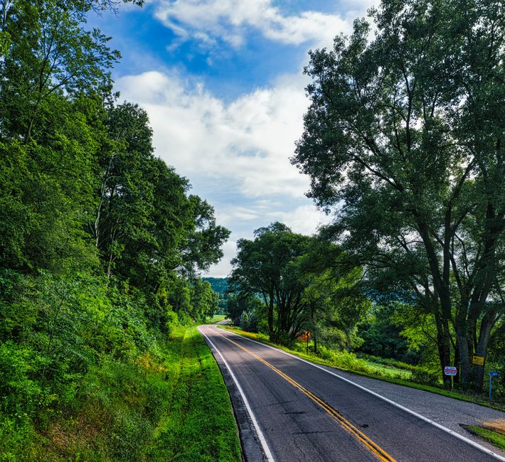 Pet-Friendly Accommodations Road Trips Usa: Pet-Friendly Road Trip Accommodation: How to Book Without the Headaches