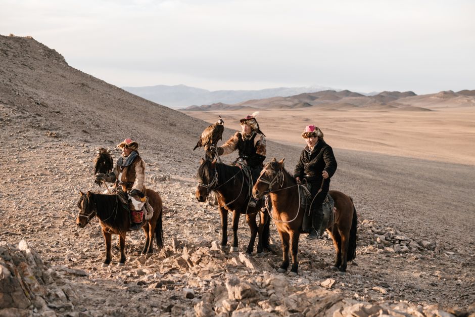 Three traditional eagle hunters riding horses in the arid Mongolian landscape, showcasing falconry skills.