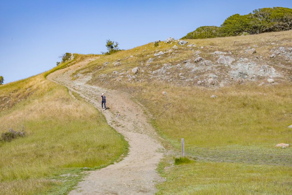 A lone hiker on a scenic trail through grass and rocks under a clear blue sky.